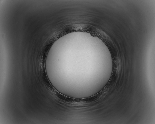 X0000086080510200704132106