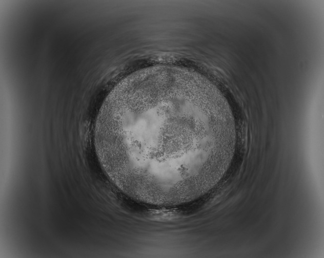 X0000086080511200704132106