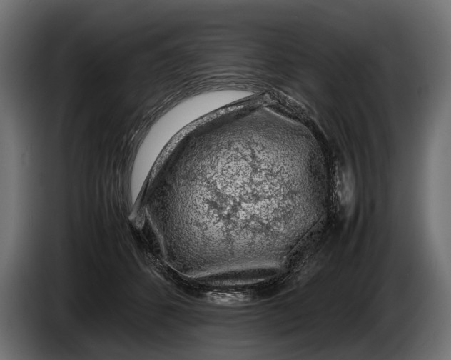 X0000086080512200704132106