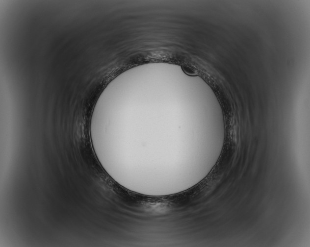 X0000086080514200704132106