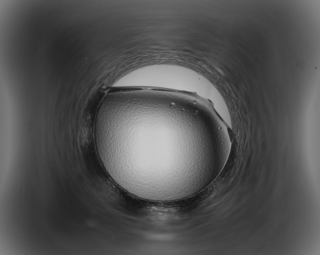 X0000086080515200704132106