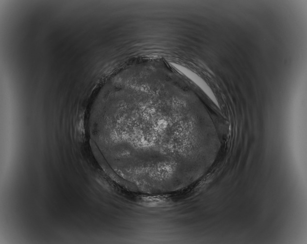 X0000086080516200704132106