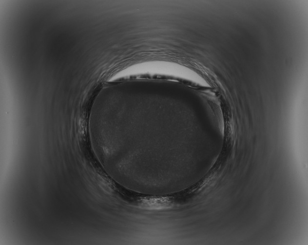 X0000086080517200704132106