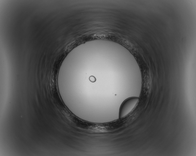 X0000086080518200704132106