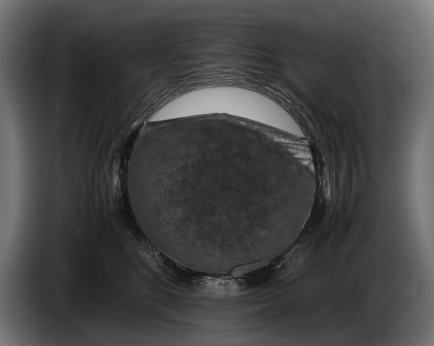 X0000086080520200704132106