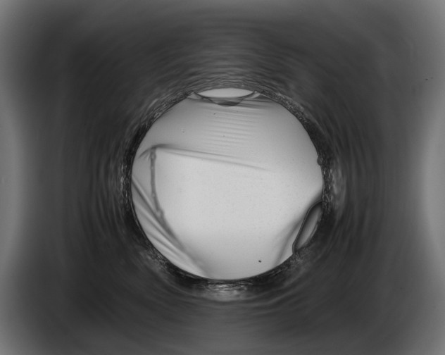 X0000086080522200704132106