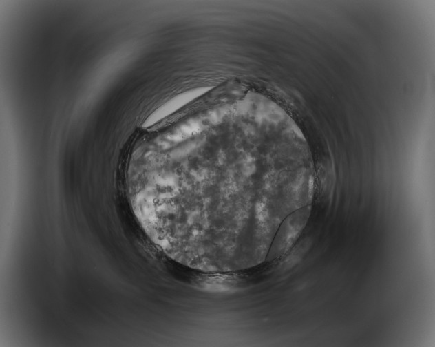 X0000086080527200704132106