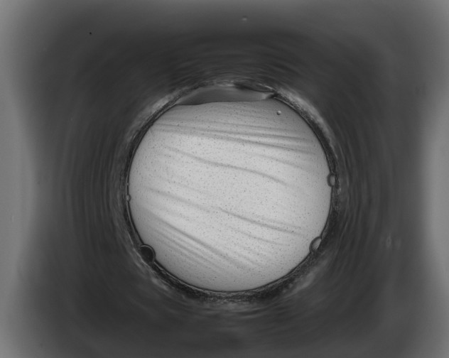 X0000086080529200704132105