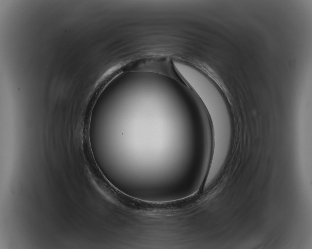 X0000086080530200704132105