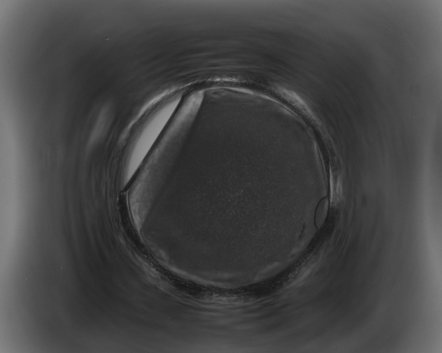 X0000086080531200704132105