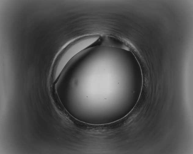 X0000086080532200704132105