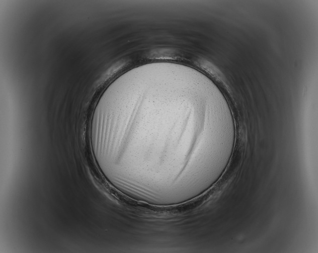 X0000086080533200704132105