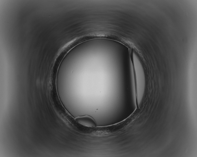 X0000086080536200704132105