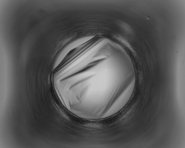 X0000086080537200704132105