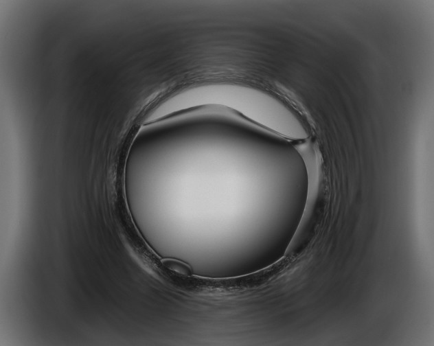 X0000086080538200704132105