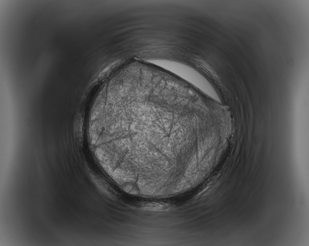 X0000086080542200704132106