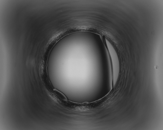 X0000086080544200704132106