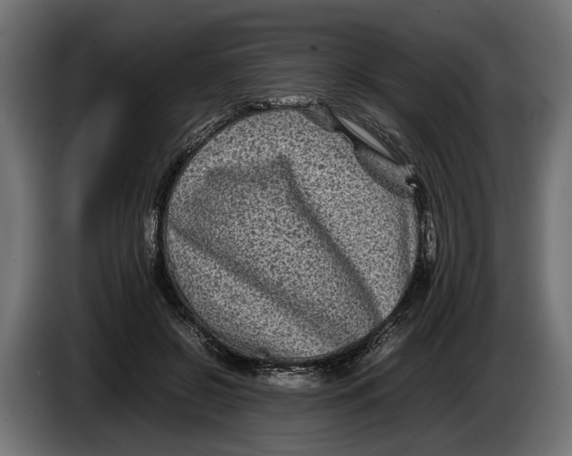 X0000086080550200704132106