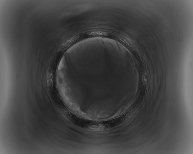 X0000086080551200704132106