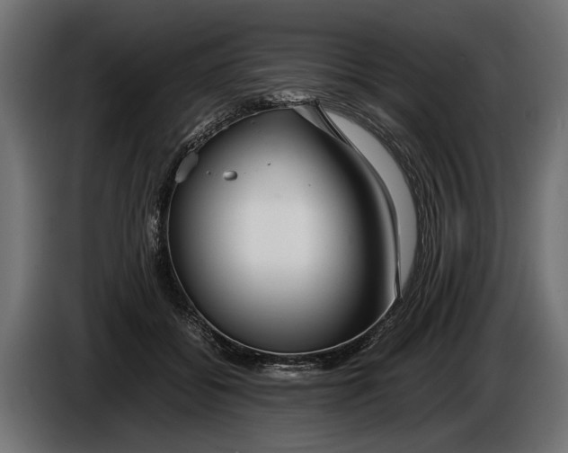 X0000086080556200704132106