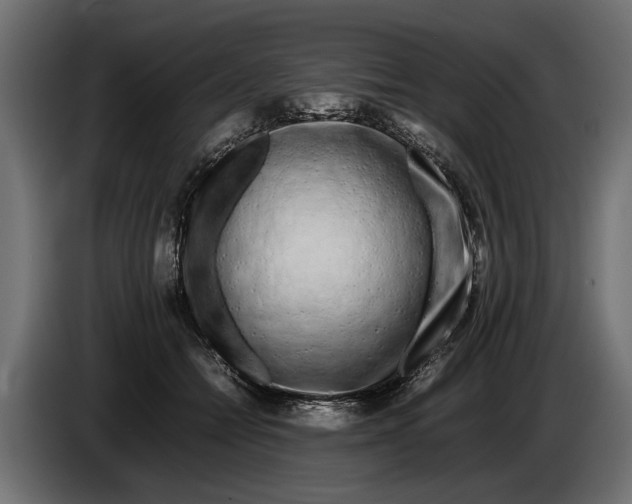 X0000086080558200704132106