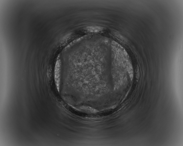 X0000086080559200704132106