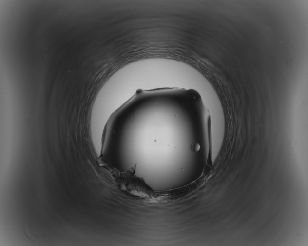 X0000086080560200704132106