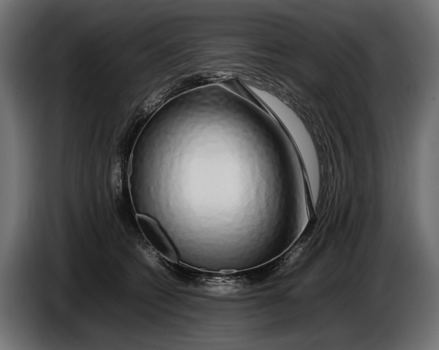 X0000086080562200704132106