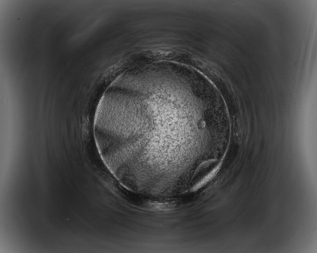 X0000086080563200704132106