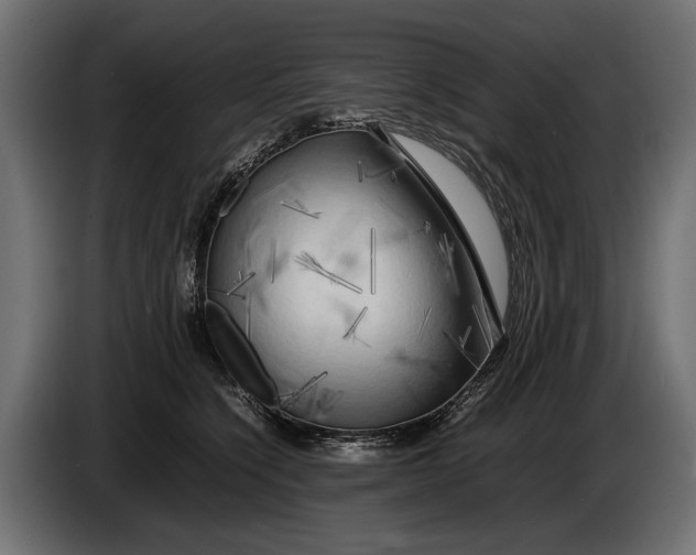 X0000086080564200704132106