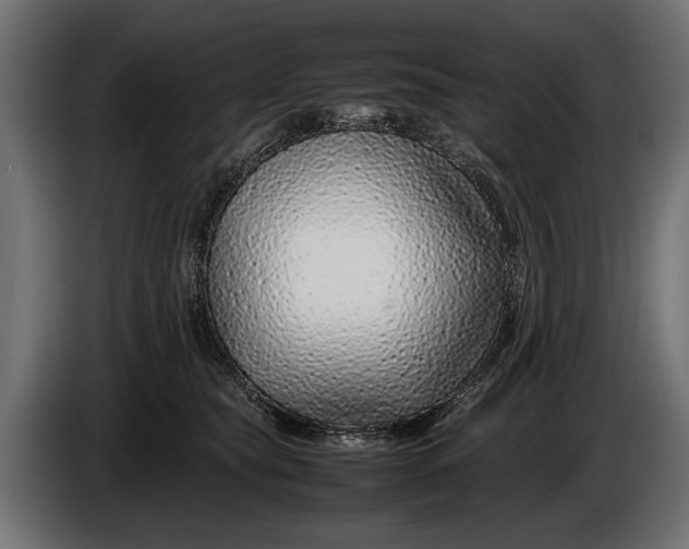 X0000086080565200704132106