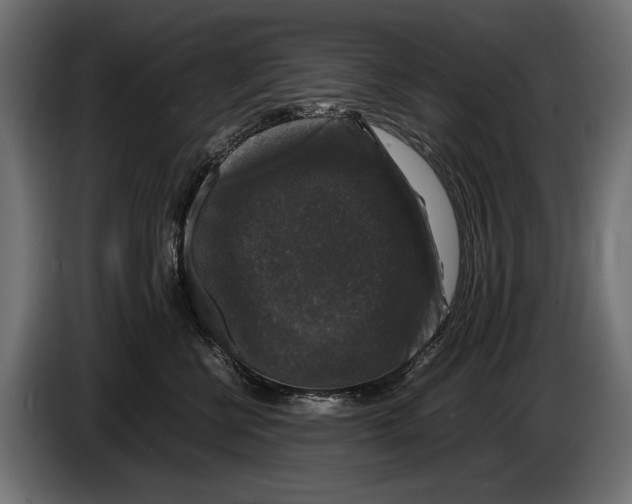 X0000086080570200704132106