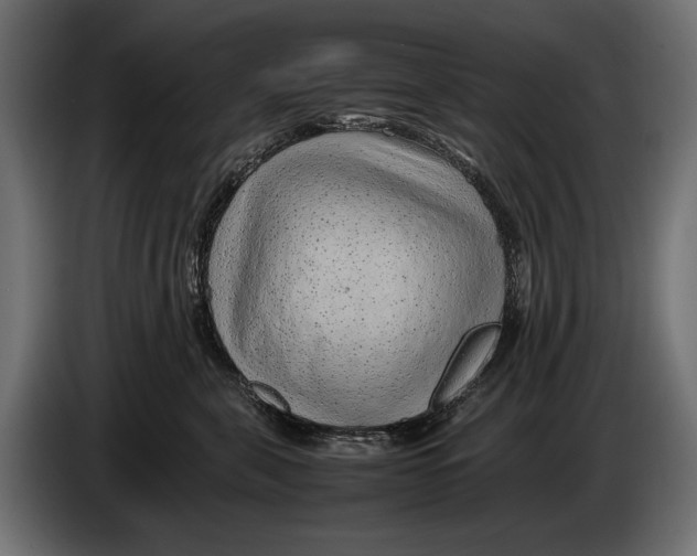 X0000086080571200704132106