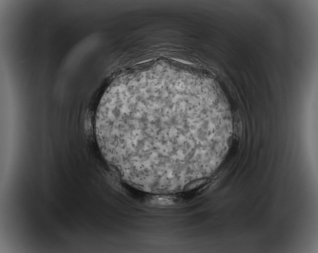 X0000086080573200704132106