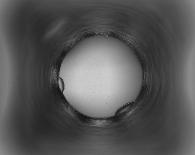 X0000086080575200704132106