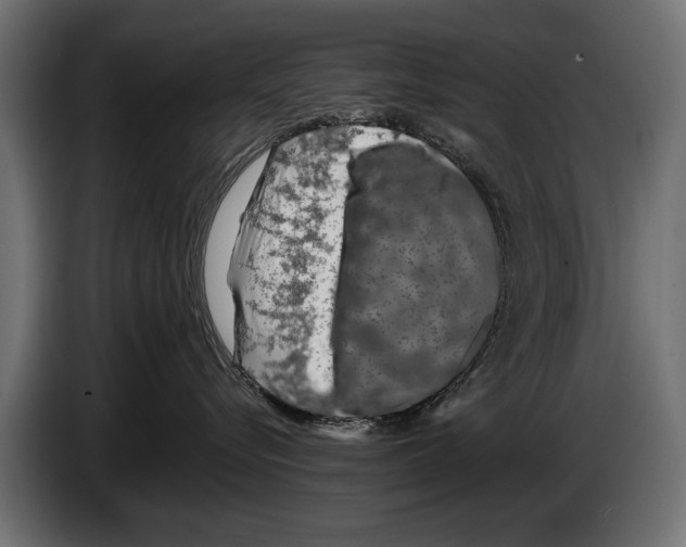 X0000086080576200704132106