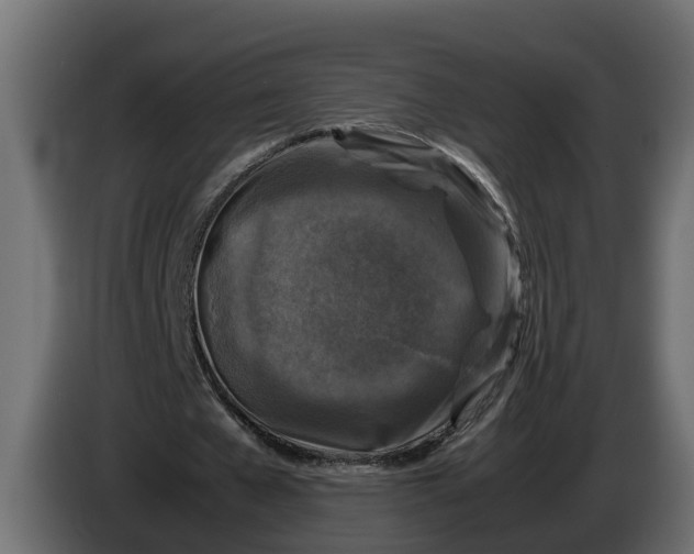 X0000086080577200704132105