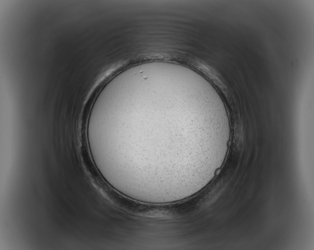 X0000086080578200704132105