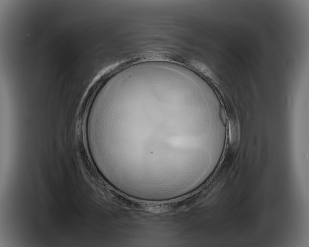 X0000086080579200704132105