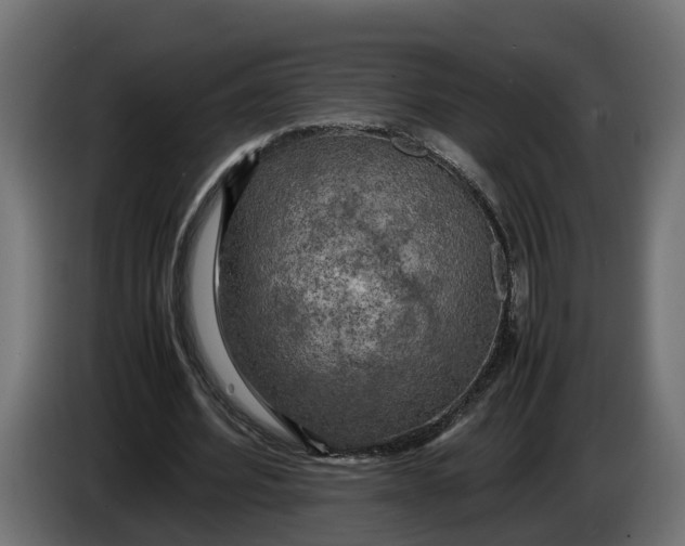 X0000086080580200704132105