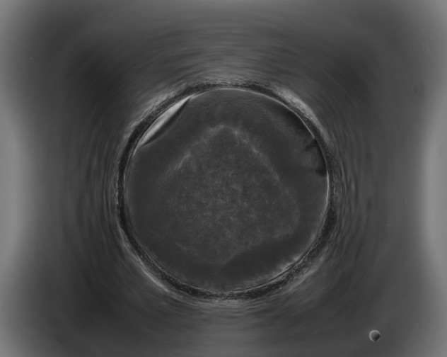 X0000086080581200704132105