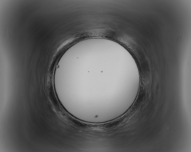 X0000086080583200704132105