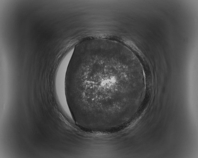 X0000086080585200704132105