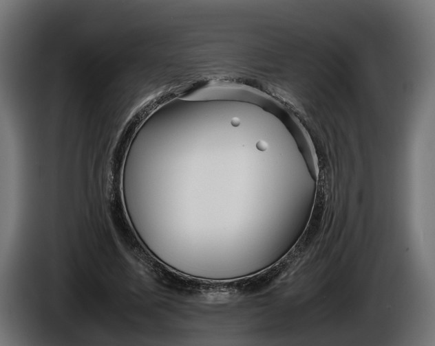 X0000086080587200704132105