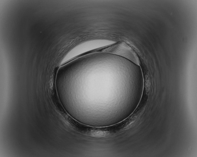 X0000086080593200704132105