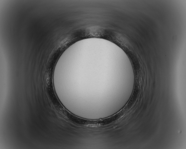 X0000086080595200704132105