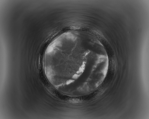 X0000086080598200704132105