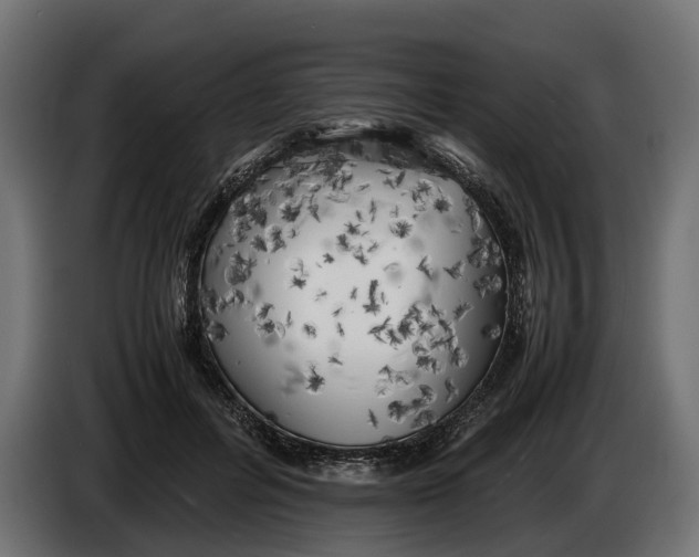 X0000086080600200704132105