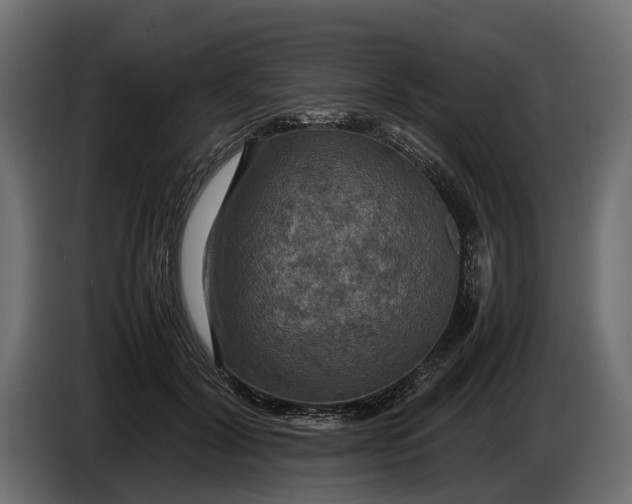 X0000086080604200704132105