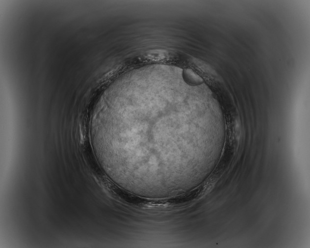 X0000086080606200704132105